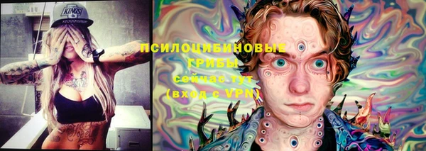 твердый Чегем